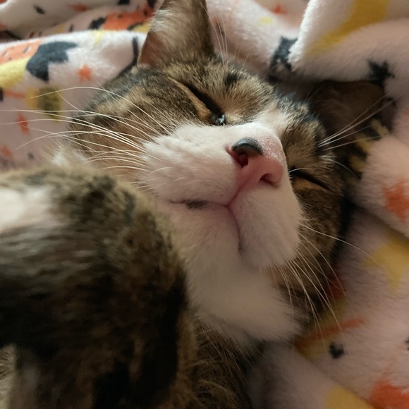 Meet your Posher, Helen Esther - Picture 5 of 5